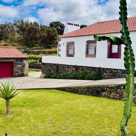 Casa Da Hortensia Roxa By Ponta Negra Azores Holiday home