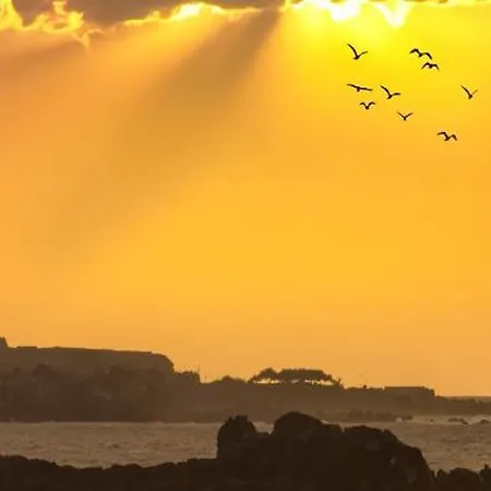 Casa Da Hortensia Roxa By Ponta Negra Azores Praia da Vitória