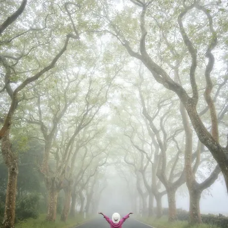 Casa Da Hortensia Roxa By Ponta Negra Azores Holiday home Praia da Vitoria