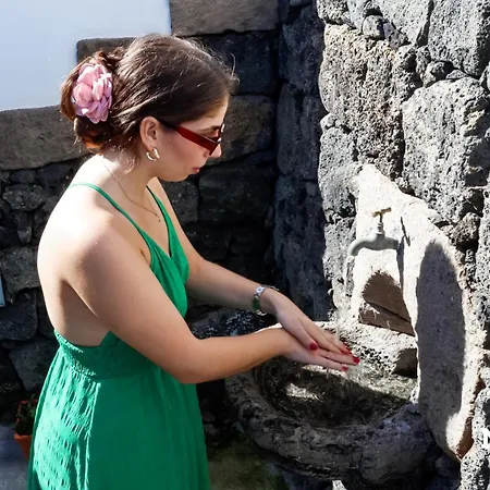 Casa Da Hortensia Roxa By Ponta Negra Azores Casa vacanze Praia da Vitória